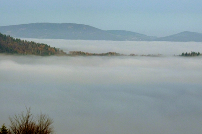 Dolina we mgle